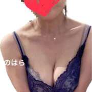 ヒメ日記 2026/06/23 02:06 投稿 野原みさこ ワイフコレクション