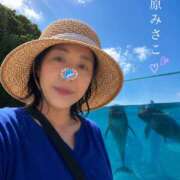 ヒメ日記 2026/07/19 12:08 投稿 野原みさこ ワイフコレクション