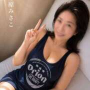 ヒメ日記 2026/07/20 10:18 投稿 野原みさこ ワイフコレクション