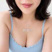 ヒメ日記 2026/08/02 08:55 投稿 野原みさこ ワイフコレクション