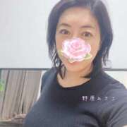 ヒメ日記 2026/09/13 11:31 投稿 野原みさこ ワイフコレクション
