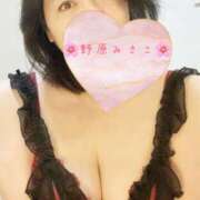 ヒメ日記 2026/10/02 12:00 投稿 野原みさこ ワイフコレクション