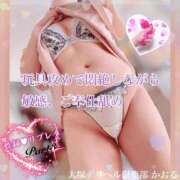 ヒメ日記 2025/12/24 12:05 投稿 かおる 池袋デリヘル倶楽部