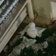 さくら 嬉しすぎたよね⛄️ 池袋デリヘル倶楽部