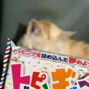 さくら おすすめ💓 池袋デリヘル倶楽部