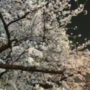 みゆ ごめんなさい、本日お休みします。 池袋デリヘル倶楽部