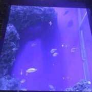 ヒメ日記 2026/06/02 11:35 投稿 みゆ 池袋デリヘル倶楽部