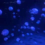 ヒメ日記 2025/12/28 14:45 投稿 福本 AROMA VENUS