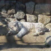 ヒメ日記 2026/01/17 19:32 投稿 福本 AROMA VENUS