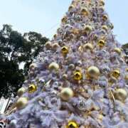 ヒメ日記 2025/12/26 20:58 投稿 りの おクンニ学園 横浜関内校