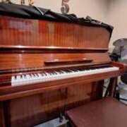 なみ 穏やかな時間でした? 池袋ぱんぷきん（シンデレラグループ）