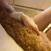 吹石 初投稿です🌱 昼顔妻 五反田店