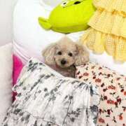 ヒメ日記 2026/01/29 23:16 投稿 吹石 昼顔妻 五反田店