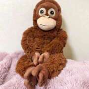 ヒメ日記 2026/03/10 23:26 投稿 吹石 昼顔妻 五反田店