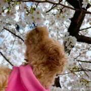 吹石 こんにちは⛅️ 昼顔妻 五反田店