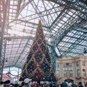 ヒメ日記 2025/12/25 16:28 投稿 ちなつ 所沢東村山ちゃんこ