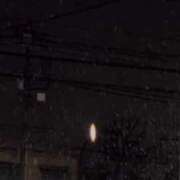 ヒメ日記 2026/01/07 06:12 投稿 つばき デザインプリズム新宿