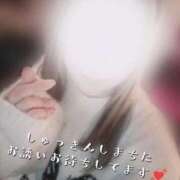 ヒメ日記 2026/03/07 14:16 投稿 みれい 至福の密着エステ&禁断のM性感 Luxeaz