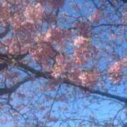 ヒメ日記 2026/03/11 19:31 投稿 紺野 恵 こあくまな熟女たち 静岡店（KOAKUMAグループ）