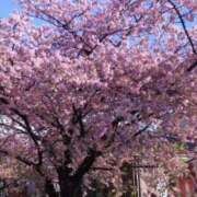 ヒメ日記 2026/04/06 12:32 投稿 紺野 恵 こあくまな熟女たち 静岡店（KOAKUMAグループ）