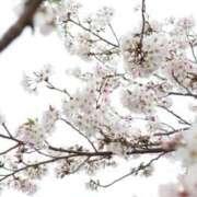 ヒメ日記 2026/04/19 12:43 投稿 紺野 恵 こあくまな熟女たち 静岡店（KOAKUMAグループ）