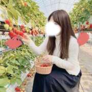 ヒメ日記 2026/03/27 17:52 投稿 涼風 美琴 こあくまな熟女たち 大塚店(KOAKUMAグループ)