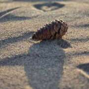 ヒメ日記 2026/03/30 15:26 投稿 あみ 太田人妻城