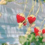 ヒメ日記 2026/02/24 08:01 投稿 雪村れお 全裸コレクション or 妄想痴漢電車