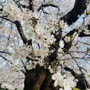 ヒメ日記 2026/03/30 19:51 投稿 雪村れお 全裸コレクション or 妄想痴漢電車