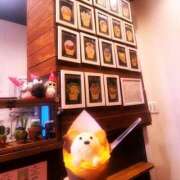 ヒメ日記 2026/02/21 19:57 投稿 さやか スピードエコ京橋店