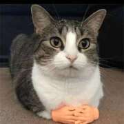 かおり 今日はね🎵 美熟女倶楽部Hip's西川口店