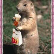 ヒメ日記 2026/01/08 11:21 投稿 かおり 美熟女倶楽部Hip's西川口店