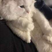 ヒメ日記 2025/12/25 16:33 投稿 ゆあ 女の子がセルフで撮影する店！！成田デリヘル『生パネル』伝説