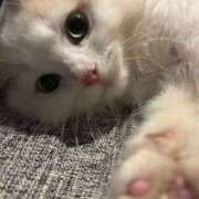 ヒメ日記 2025/12/26 08:33 投稿 ゆあ 女の子がセルフで撮影する店！！成田デリヘル『生パネル』伝説