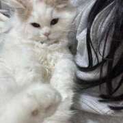 ヒメ日記 2025/12/28 04:33 投稿 ゆあ 女の子がセルフで撮影する店！！成田デリヘル『生パネル』伝説