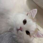 ヒメ日記 2026/01/25 21:57 投稿 ゆあ 女の子がセルフで撮影する店！！成田デリヘル『生パネル』伝説