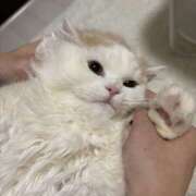 ヒメ日記 2026/01/26 12:57 投稿 ゆあ 女の子がセルフで撮影する店！！成田デリヘル『生パネル』伝説