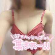 ヒメ日記 2026/02/11 15:25 投稿 紫宮くるみ 大人のエッチなエステ