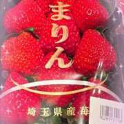 ヒメ日記 2026/02/25 19:30 投稿 蒼井　さくら 昼下がりの情事