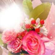 ヒメ日記 2026/04/17 07:48 投稿 蒼井　さくら 昼下がりの情事