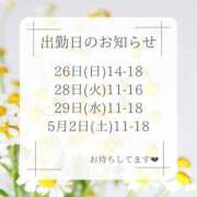 ヒメ日記 2026/04/24 18:40 投稿 蒼井　さくら 昼下がりの情事