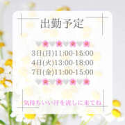 ヒメ日記 2026/08/01 16:30 投稿 蒼井　さくら 昼下がりの情事