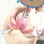 ヒメ日記 2026/05/18 20:18 投稿 紗輝(さき) 相模原人妻城
