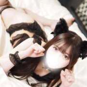 ヒメ日記 2025/12/26 12:21 投稿 らん Okini所沢