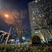 ヒメ日記 2026/02/21 19:59 投稿 優里奈(ゆりな) エリートな人妻たち新宿