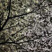 ヒメ日記 2026/04/04 23:29 投稿 優里奈(ゆりな) エリートな人妻たち新宿