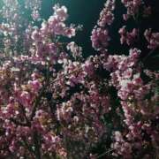 ヒメ日記 2026/02/16 19:04 投稿 みほ 沼津人妻花壇