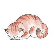 ヒメ日記 2026/02/25 19:35 投稿 みほ 沼津人妻花壇