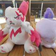 ヒメ日記 2026/03/05 19:07 投稿 みほ 沼津人妻花壇