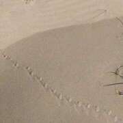 ヒメ日記 2026/01/23 08:25 投稿 七瀬 熟女待機所 厚木店